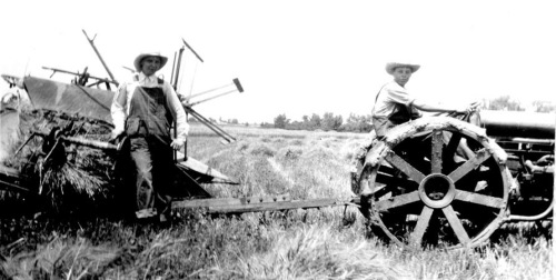 Farm Tractor harvesting